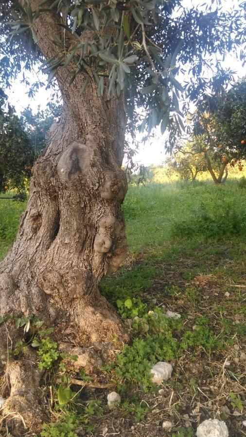הוילה אגנונה באגני Il Giardino Del Sole מראה חיצוני תמונה