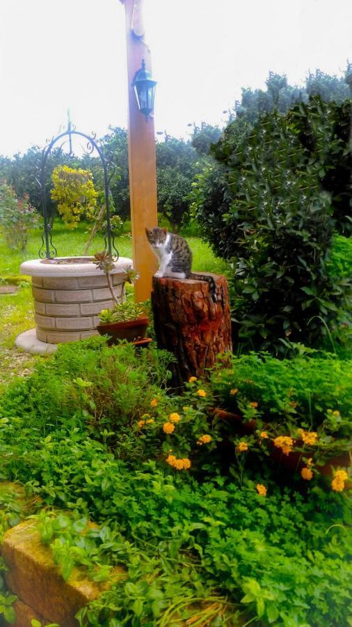 הוילה אגנונה באגני Il Giardino Del Sole מראה חיצוני תמונה