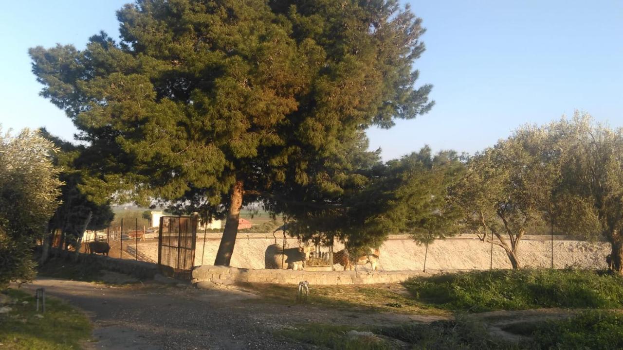 הוילה אגנונה באגני Il Giardino Del Sole מראה חיצוני תמונה