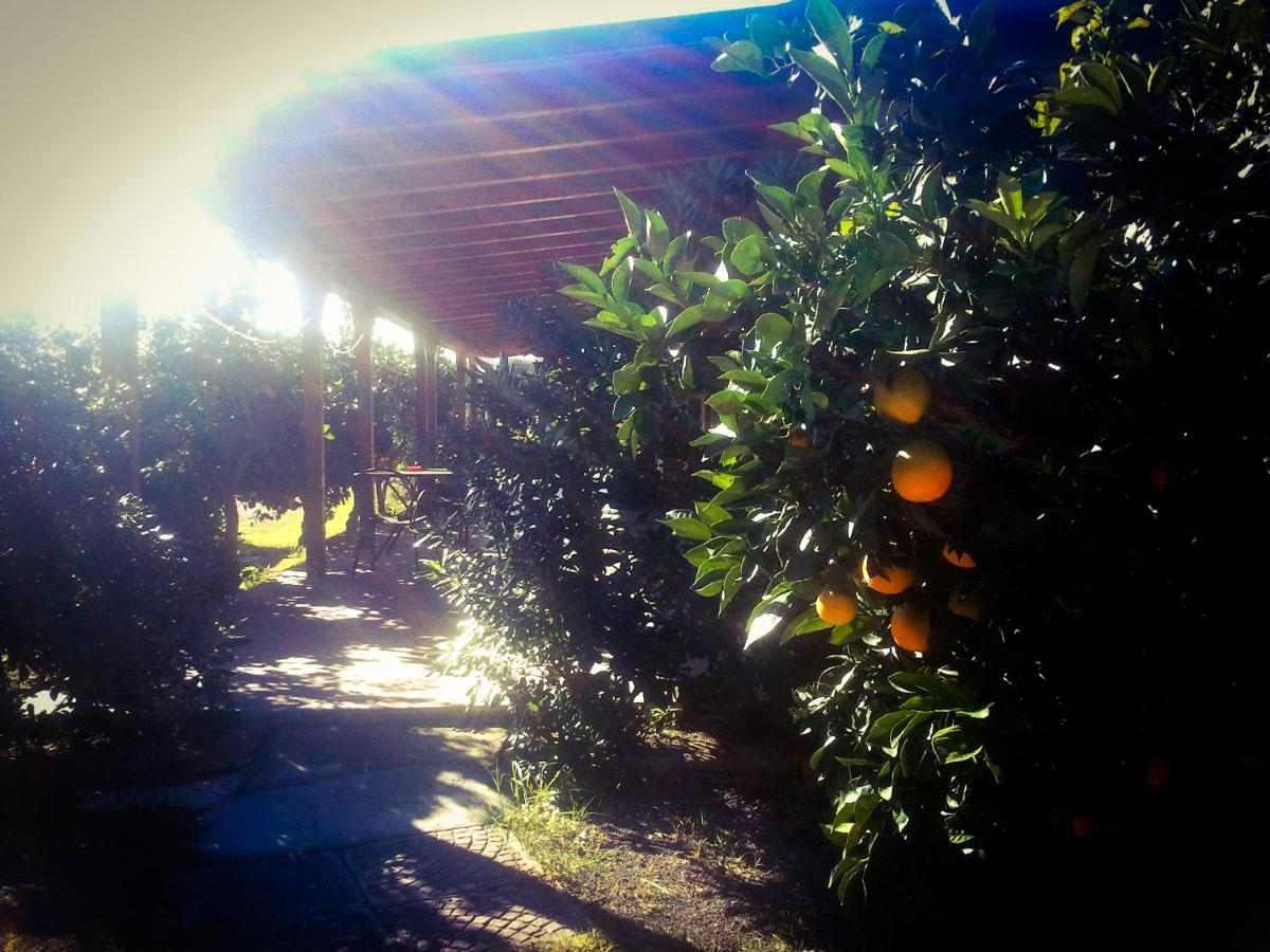 הוילה אגנונה באגני Il Giardino Del Sole מראה חיצוני תמונה