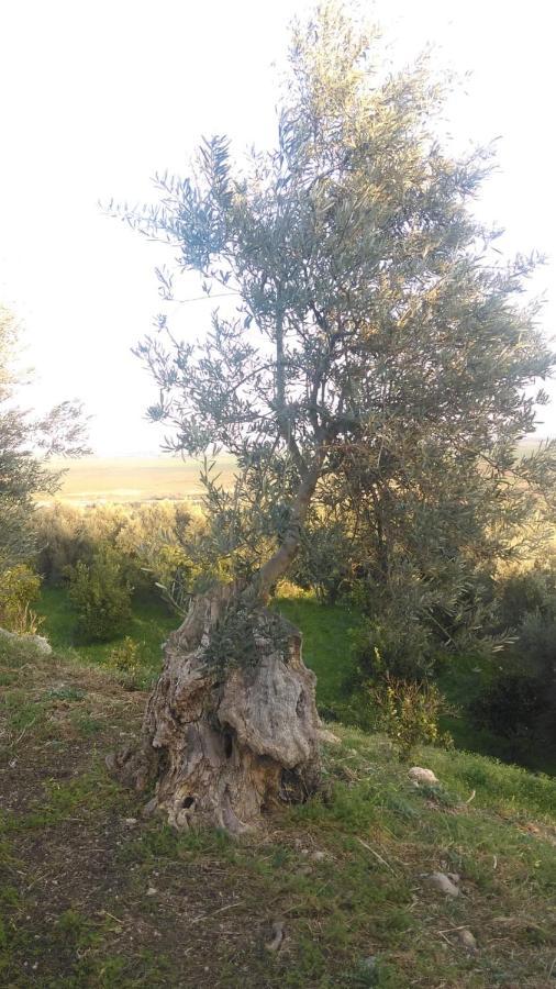 הוילה אגנונה באגני Il Giardino Del Sole מראה חיצוני תמונה