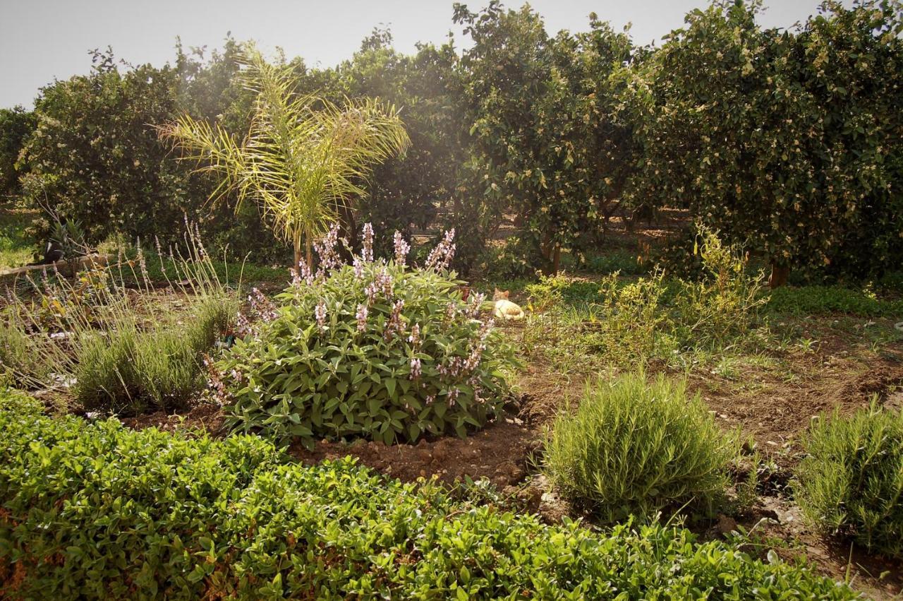 הוילה אגנונה באגני Il Giardino Del Sole מראה חיצוני תמונה
